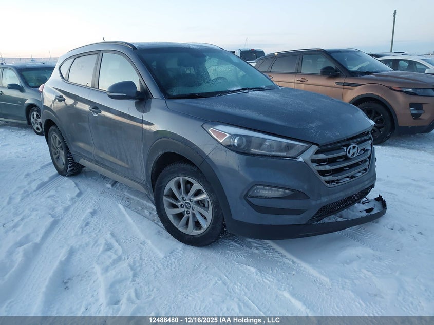 KM8J3CA44HU257774 2017 Hyundai Tucson Se auction photo 1