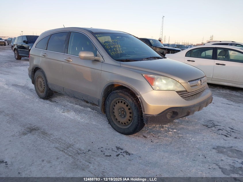 5J6RE48718L810131 2008 Honda Cr-V Exl auction photo 1