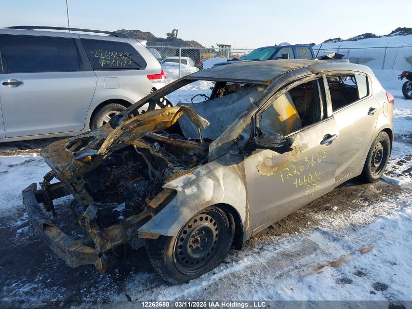 2016 Kia Forte Lx VIN: KNAFK5A89G5466008 Lot: 12263688X