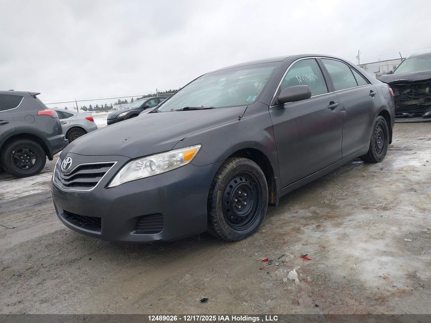 Vin: 4t1bf3ek9au104446, lot: 2875940, toyota camry se/le/xle 20102