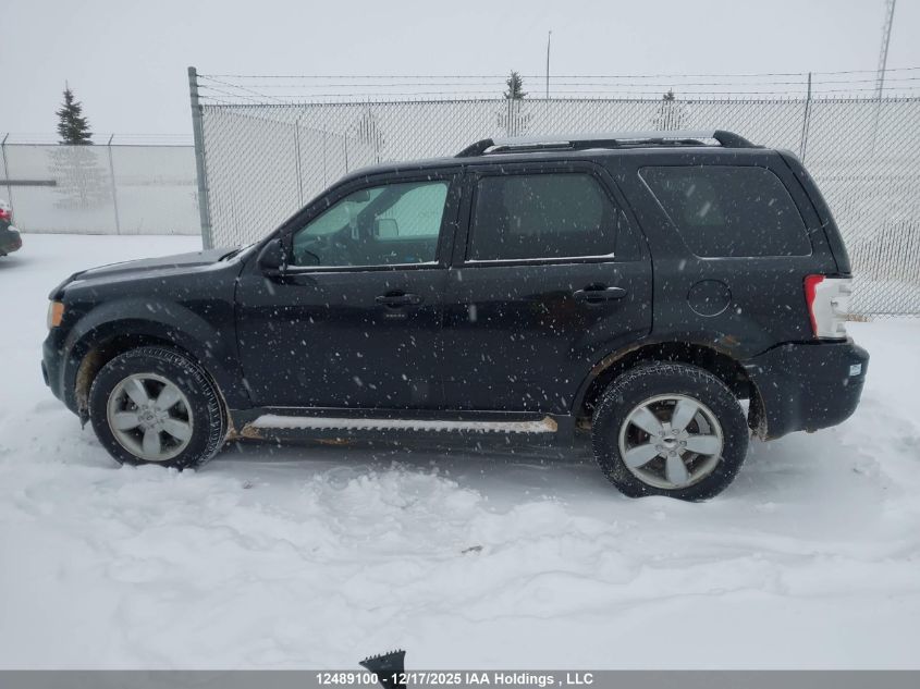 2009 Ford Escape Limited VIN: 1FMCU94GX9KC29361 Lot: 12489100