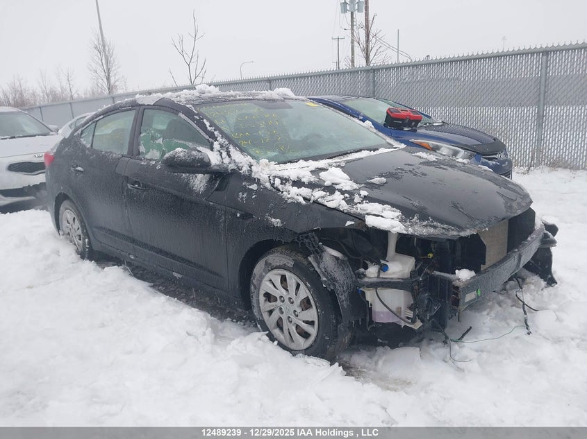 5NPD74LF0HH053493 2017 Hyundai Elantra Le auction photo 1