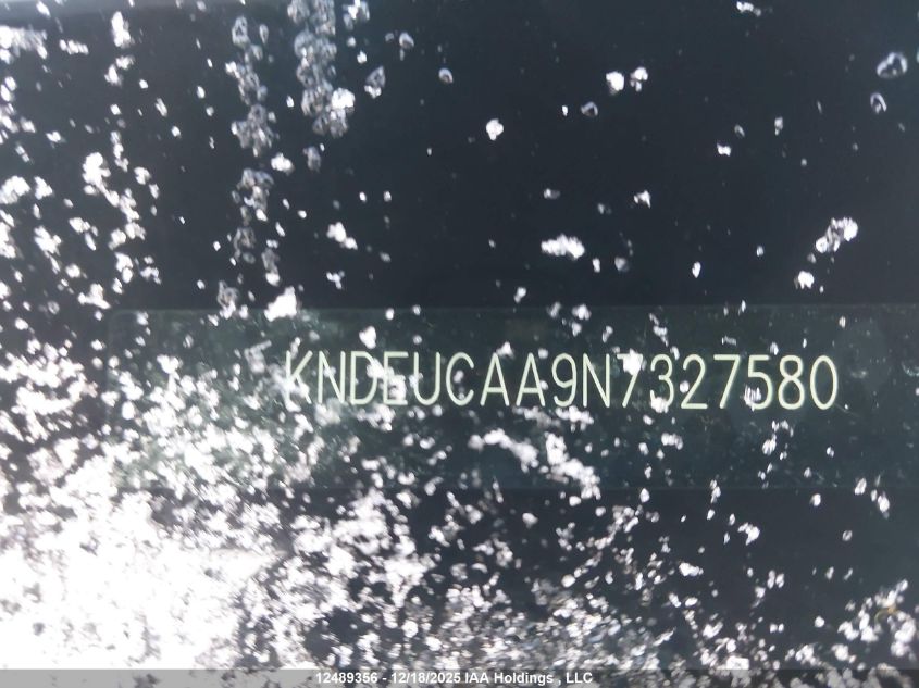 2022 Kia Seltos Ex VIN: KNDEUCAA9N7327580 Lot: 12489356