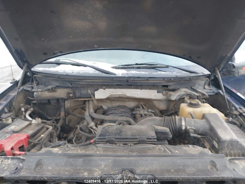 2012 Ford F-150 Xlt VIN: 1FTFX1EF5CFB30155 Lot: 12489416