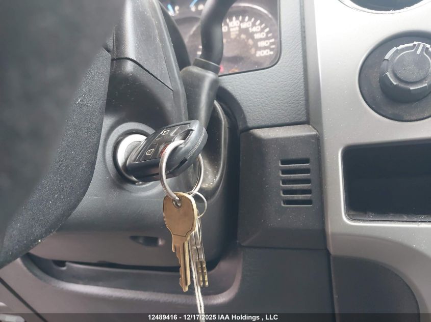 2012 Ford F-150 Xlt VIN: 1FTFX1EF5CFB30155 Lot: 12489416