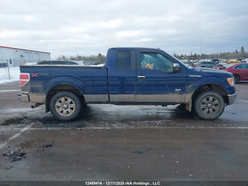 2012 Ford F-150 Xlt VIN: 1FTFX1EF5CFB30155 Lot: 12489416