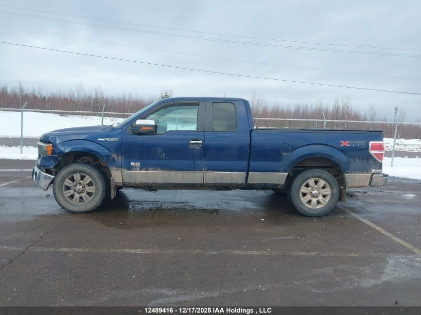 2012 Ford F-150 Xlt VIN: 1FTFX1EF5CFB30155 Lot: 12489416