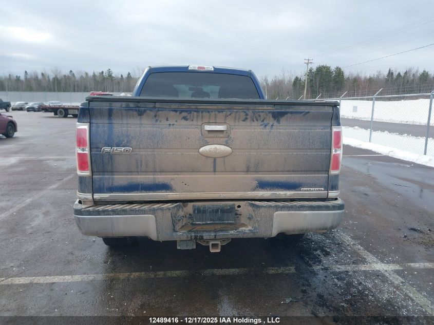 2012 Ford F-150 Xlt VIN: 1FTFX1EF5CFB30155 Lot: 12489416