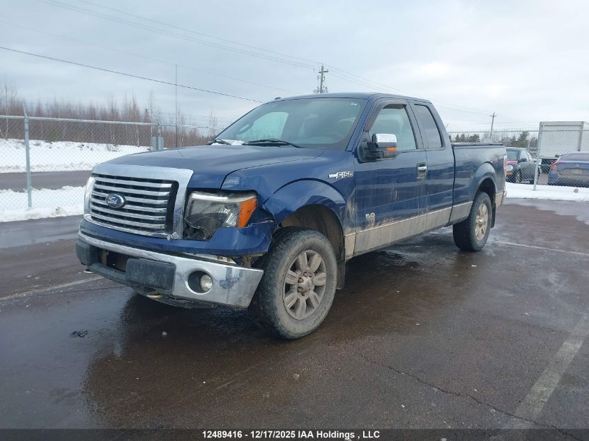2012 Ford F-150 Xlt VIN: 1FTFX1EF5CFB30155 Lot: 12489416