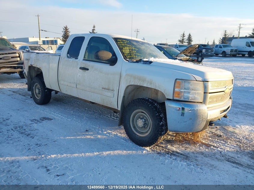 1GC5KXBG8AZ165567 CHEVROLET SILVERADO Photo 1