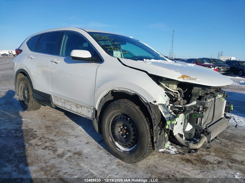 2HKRW2H25LH205909 HONDA CR-V Photo 1