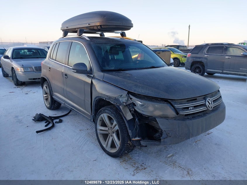 WVGJV7AX7GW501206 VOLKSWAGEN TIGUAN Photo 1