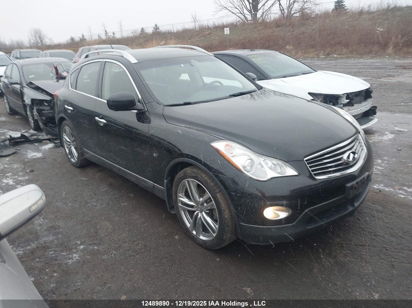 JN1BJ0HR2FM774019 2015 Infiniti Qx50 auction photo 1