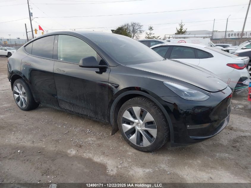 2024 Tesla Model Y