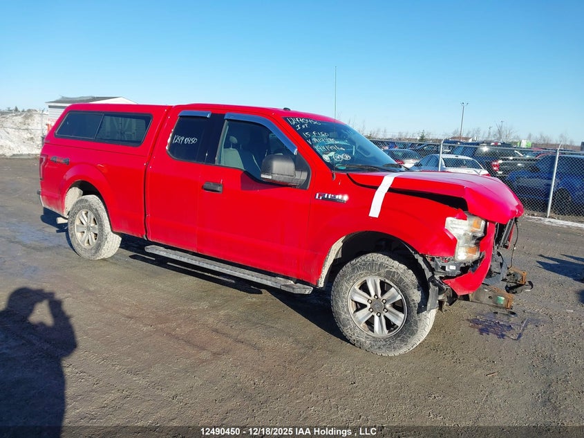 1FTFX1EF3FFA17485 2015 FORD F-150 photo no. 16