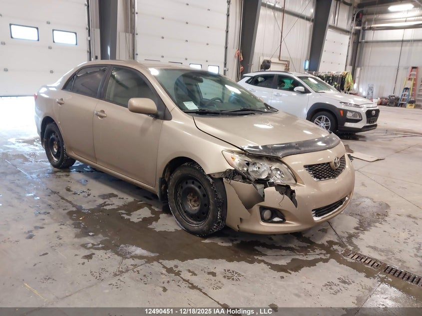 2T1BU4EE9AC244018 2010 Toyota Corolla Le auction photo 1