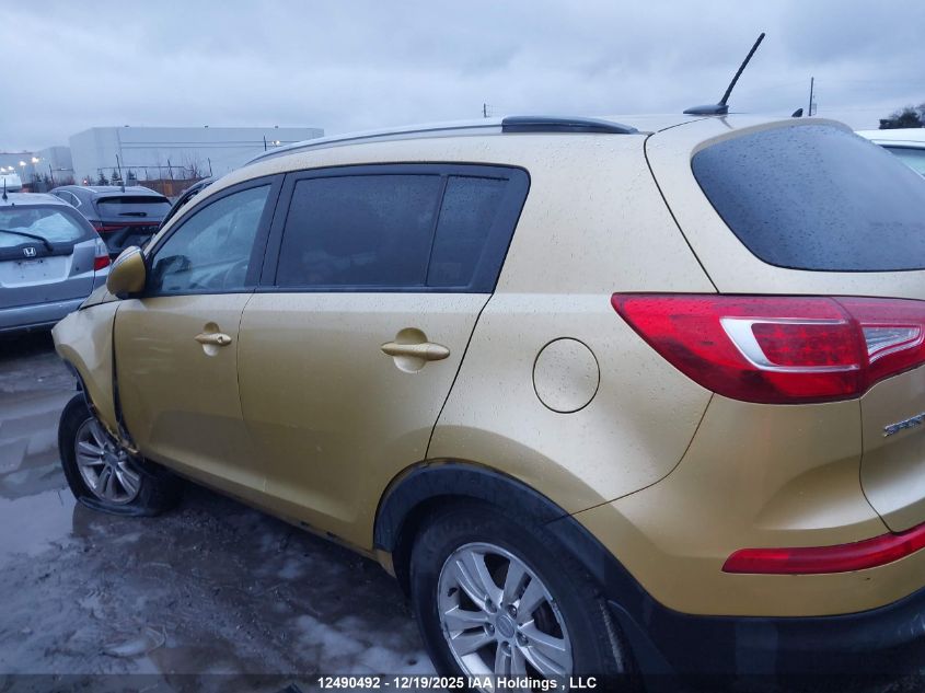 2011 Kia Sportage Lx VIN: KNDPB3A21B7117185 Lot: 12490492