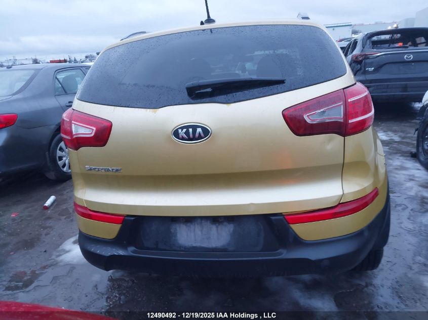 2011 Kia Sportage Lx VIN: KNDPB3A21B7117185 Lot: 12490492