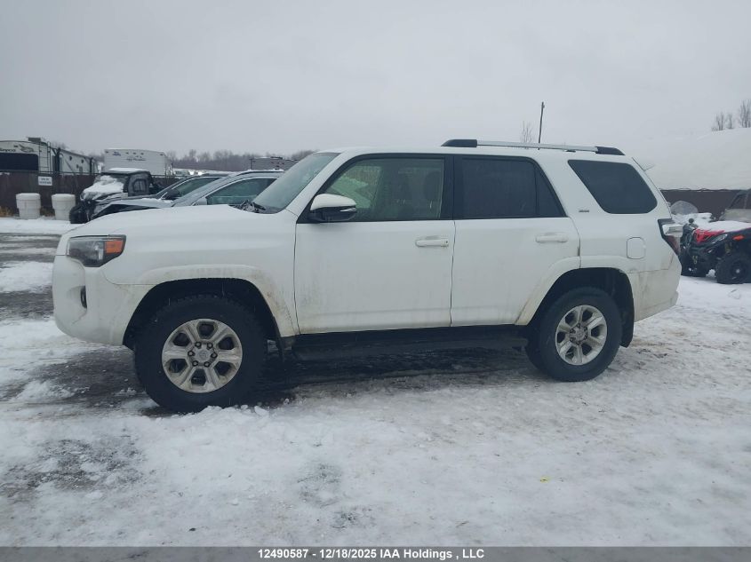 2024 Toyota 4Runner Sr5/Sr5 Premium/Limited/Trd Sport/Trd Off Road/Trd Off Road Premium/Trd Pro VIN: JTENU5JR2R6280384 Lot: 12490587