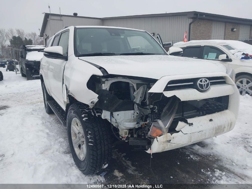 2024 Toyota 4Runner Sr5/Sr5 Premium/Limited/Trd Sport/Trd Off Road/Trd Off Road Premium/Trd Pro VIN: JTENU5JR2R6280384 Lot: 12490587