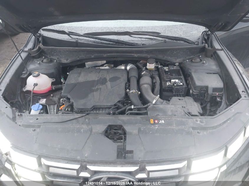 2025 Hyundai Santa Cruz Preferred VIN: 5NTJCDDF6SH137789 Lot: 12491014