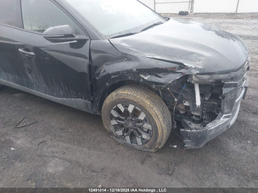 2025 Hyundai Santa Cruz Preferred VIN: 5NTJCDDF6SH137789 Lot: 12491014