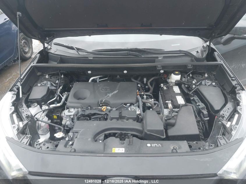 2025 Toyota Rav4 Xle/Xle Premium VIN: 2T3R1RFV3SC554936 Lot: 12491028
