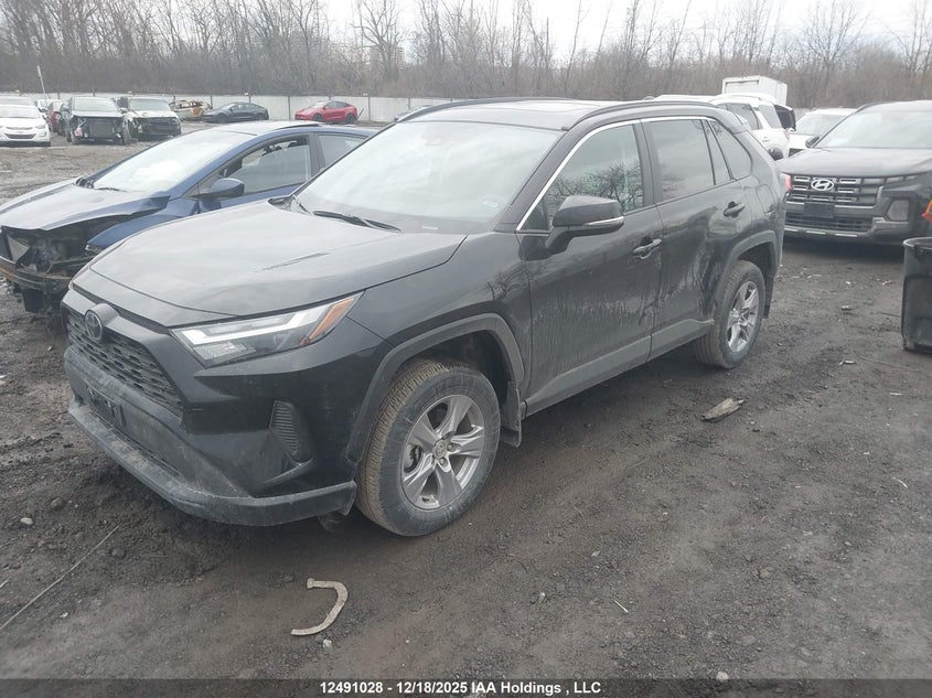 2T3R1RFV3SC554936 2025 TOYOTA RAV 4 photo no. 2