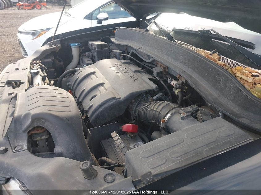 2013 Honda Ridgeline Touring VIN: 5FPYK1F51DB502956 Lot: 12460669X