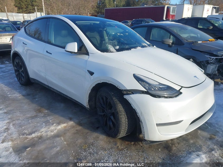 5YJYGDEE3MF078533 2021 Tesla Model Y Long Range auction photo 1