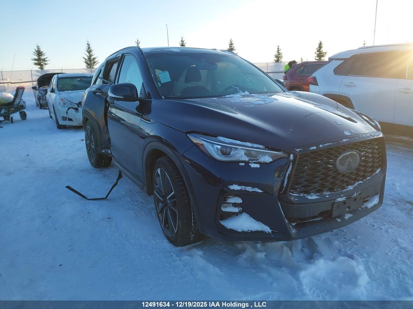 3PCAJ5FB6PF104592 INFINITI QX50 Photo 1