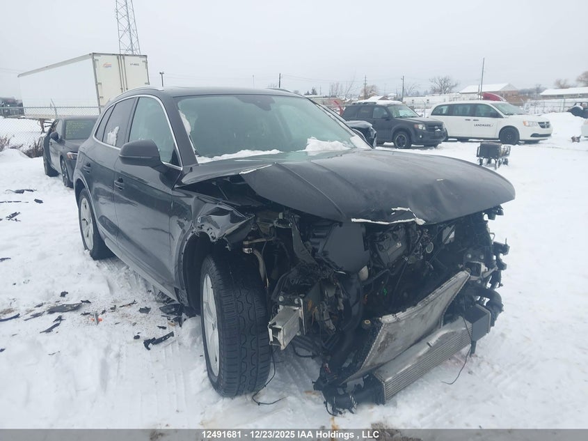 WA1BNAFY7L2106736 2020 Audi Q5 45 Progressiv auction photo 1