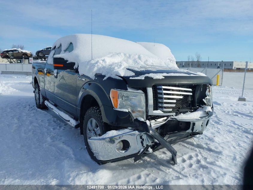 2010 Ford F-150