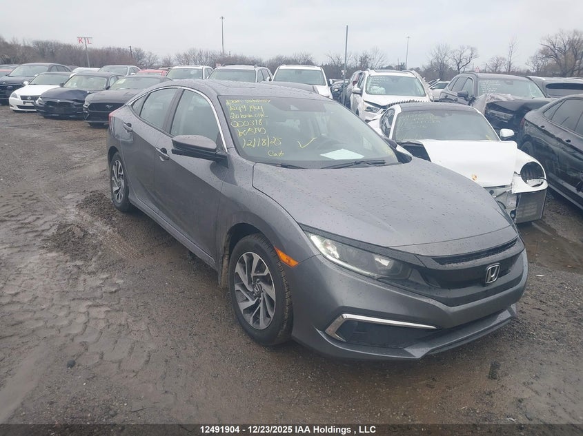 2HGFC2F73LH000318 2020 Honda Civic Ex auction photo 1