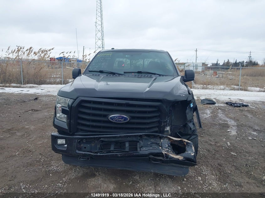 2016 Ford F-150 Xlt VIN: 1FTFW1EG0GFA90097 Lot: 12491919