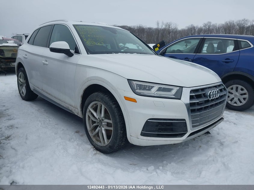 WA1BNAFY5L2074451 AUDI Q5 Photo 1