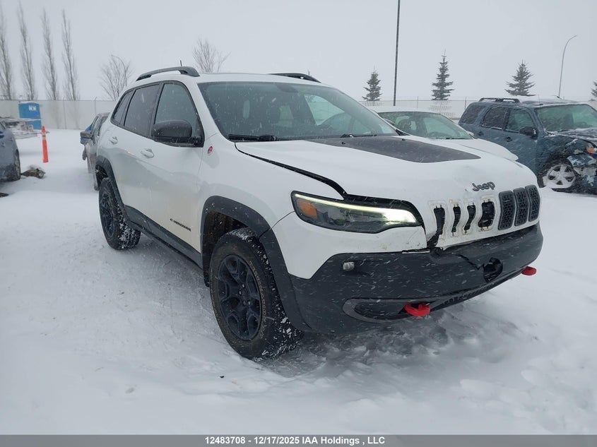 1C4PJMBX7LD558101 2020 Jeep Cherokee Trailhawk Elite auction photo 1