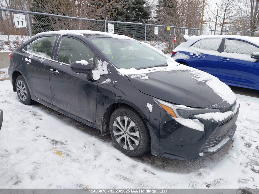 JTDBCMFE0RJ016006 2024 Toyota Corolla Le/Se/Xle/Night Shade auction photo 1