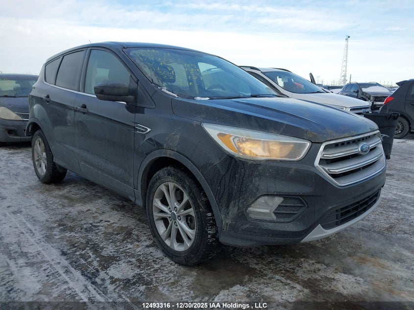 1FMCU9G90HUA85769 2017 Ford Escape Se auction photo 1