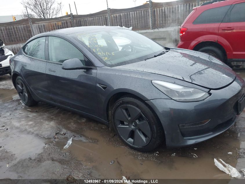 2023 Tesla Model 3