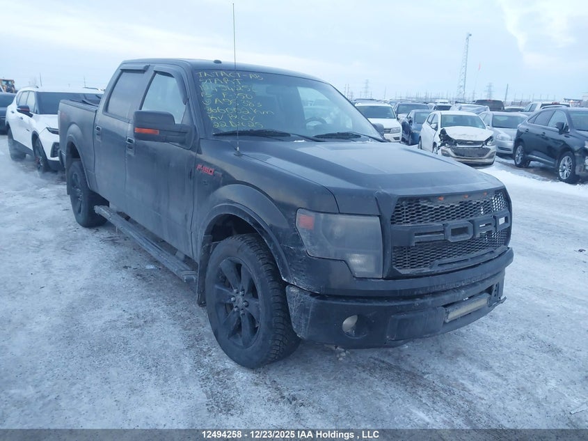 1FTFW1ET3DFA95383 2013 Ford F150 Supercrew auction photo 1