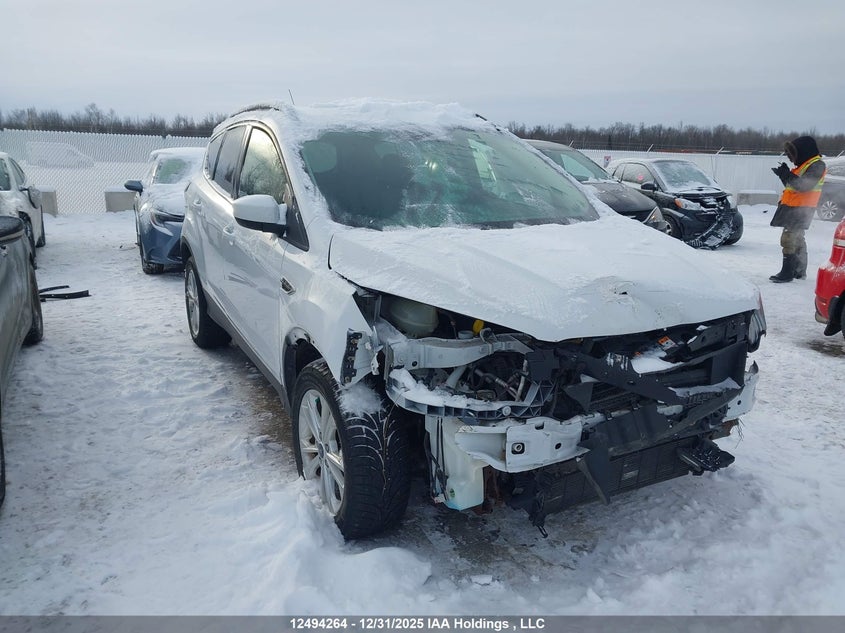 1FMCU0GD2HUB69317 2017 Ford Escape Se auction photo 1