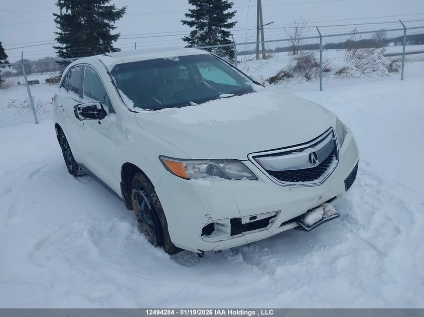 5J8TB4H59FL803588 ACURA RDX Photo 1