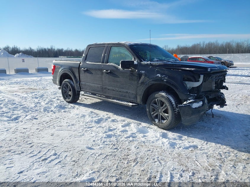 1FTFW1E54PKE53670 2023 Ford F150 Supercrew auction photo 1