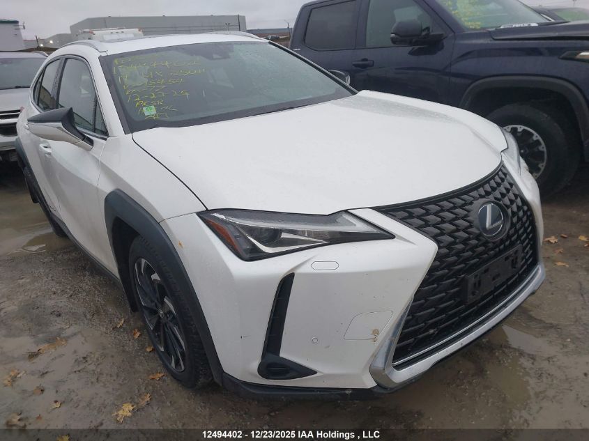 2019 Lexus UX 250h