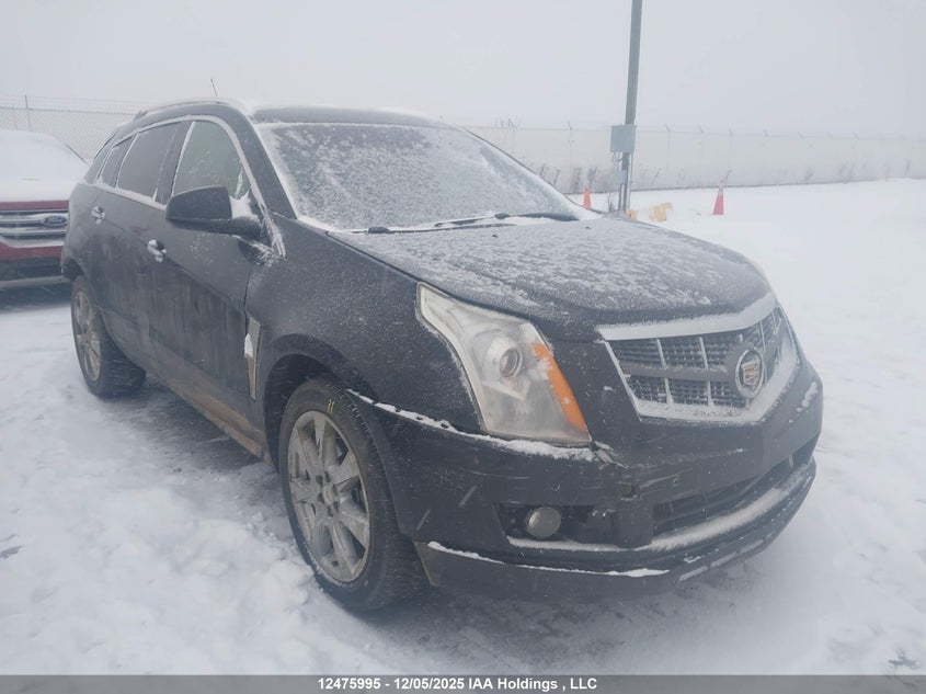 3GYFNEEYXAS651356 2010 Cadillac Srx Luxury And Performance Collection auction photo 1