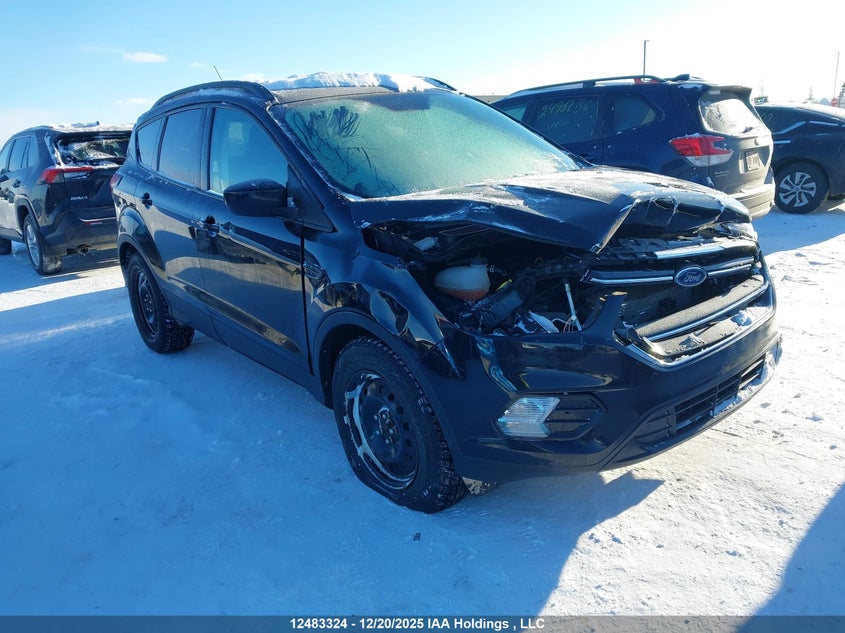 1FMCU9GD4KUC12390 2019 Ford Escape Se auction photo 1