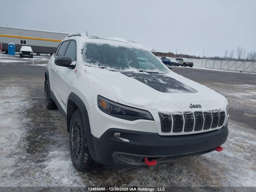1C4PJMBX9LD544104 2020 Jeep Cherokee Trailhawk auction photo 1