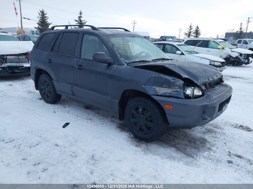 KM8SB13D95U867979 2005 Hyundai Santa Fe auction photo 1