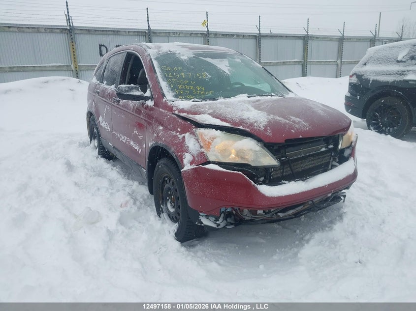 5J6RE48528L816244 HONDA CR-V Photo 1